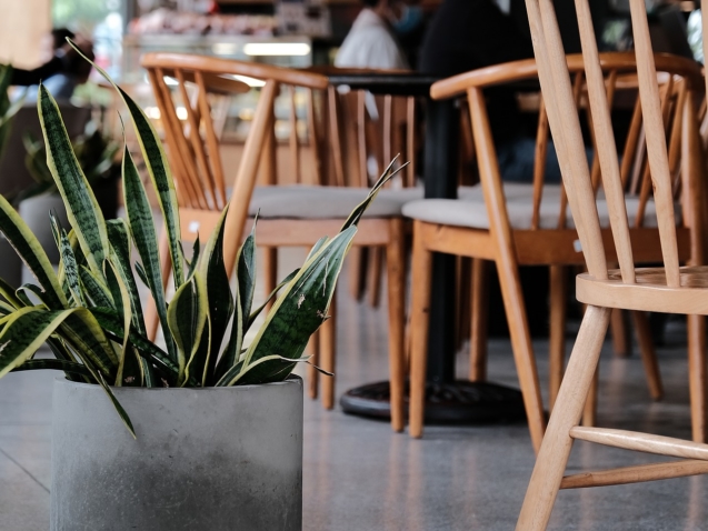 cafe